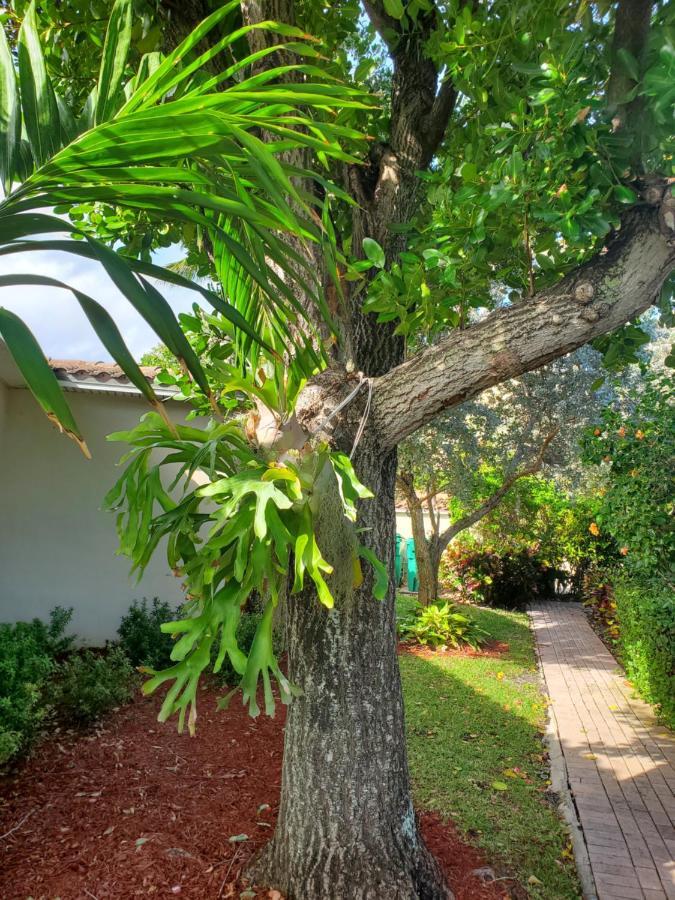 Ocean Side Resort - Updated Villa Hillsboro Beach Bagian luar foto